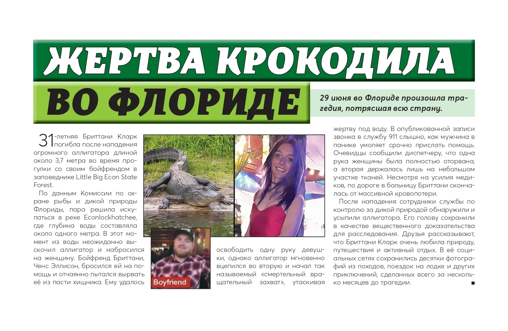 Alligator_Article_page-0001